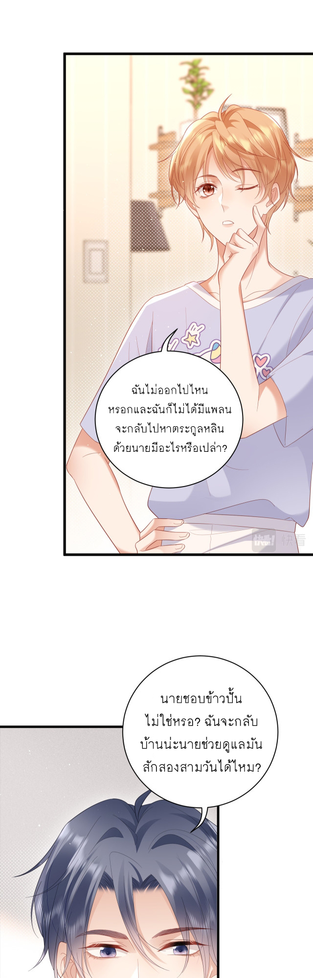 ซ่อนแอบ 26 18