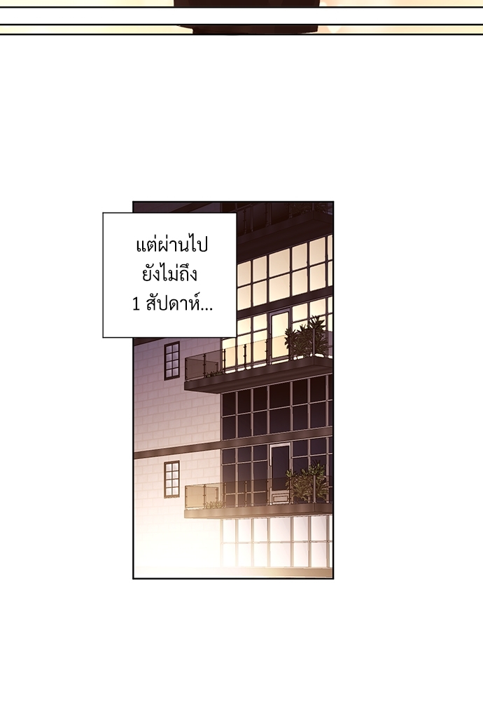 4 Week Lovers แฟนกัน 4 สัปดาห์ 63 43