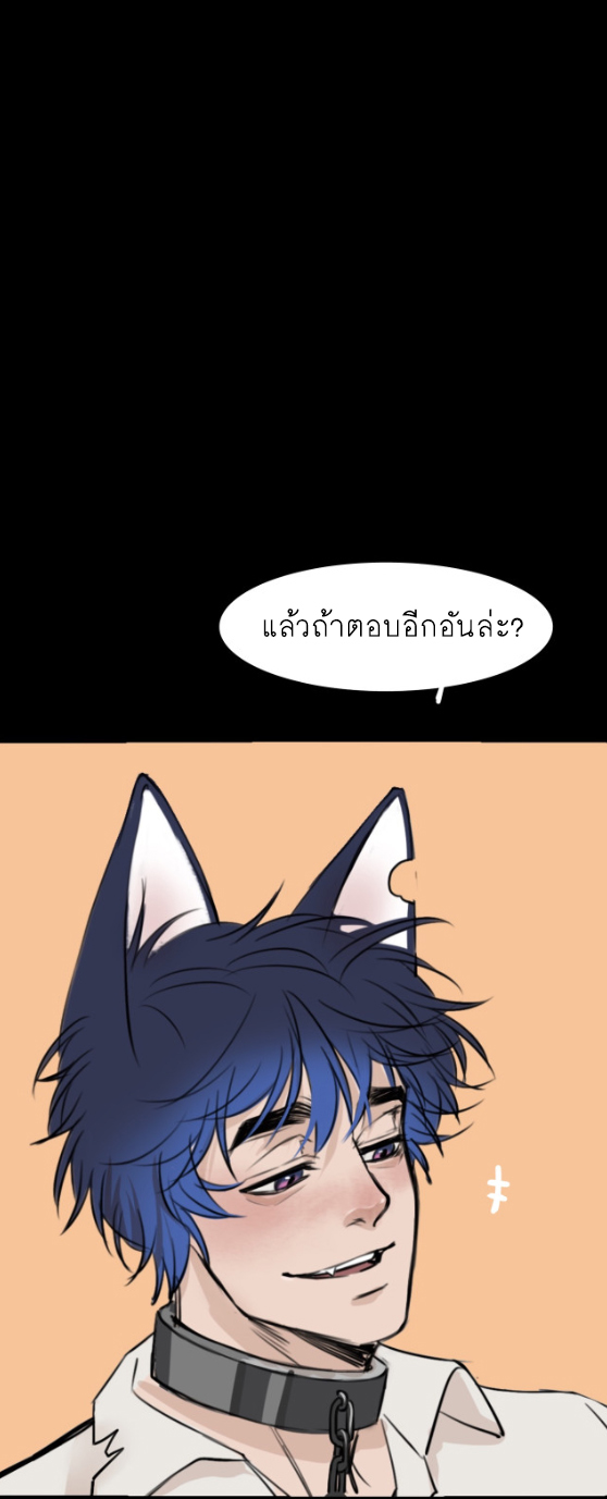 นี่เจ้าเหมียวคิดอะไรอยู่นะ 5 06