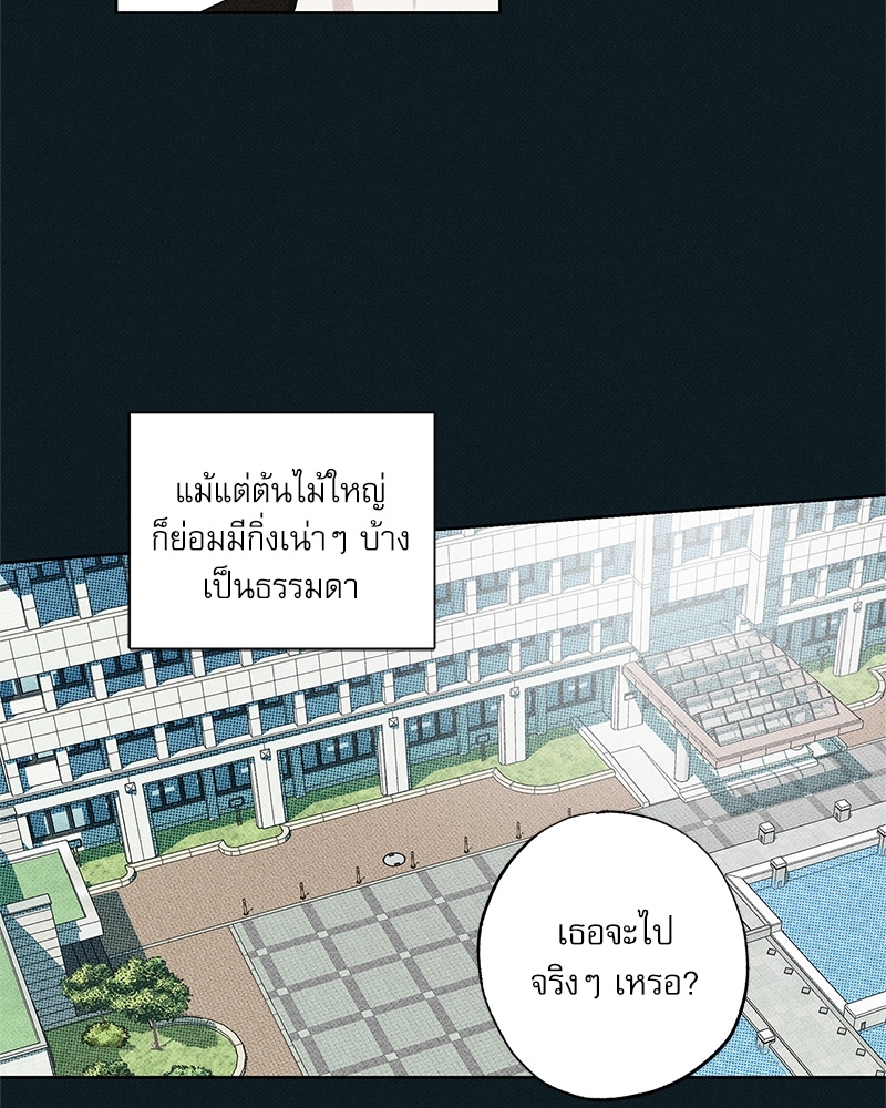 พนักงานส่งพิซซ่ากับโกลด์พาเลซ 33 070